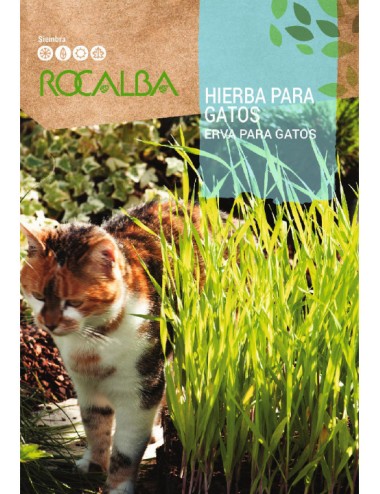 CAT GRASS SEEDS 10GR. ROCALBA