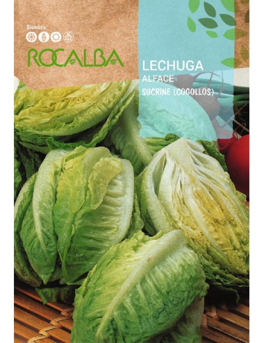 SEMILLA LECHUGA SUCRINE...